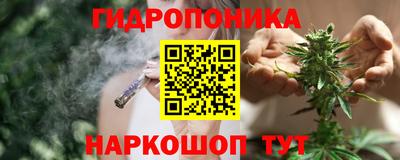 МДПВ Кингисепп