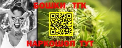 МДПВ Кингисепп