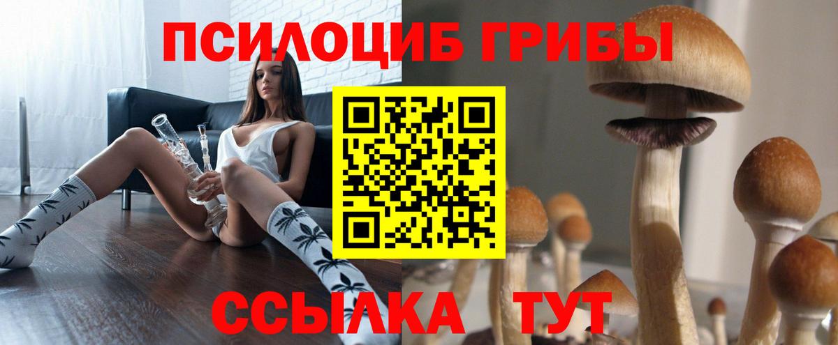 Псилоцибиновые грибы мицелий Корсаков